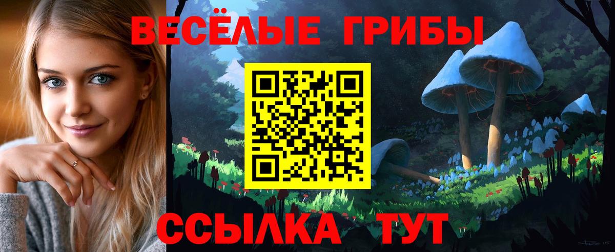Галлюциногенные грибы прущие грибы  Вход с VPN  купить  цена  Орехово-Зуево 
