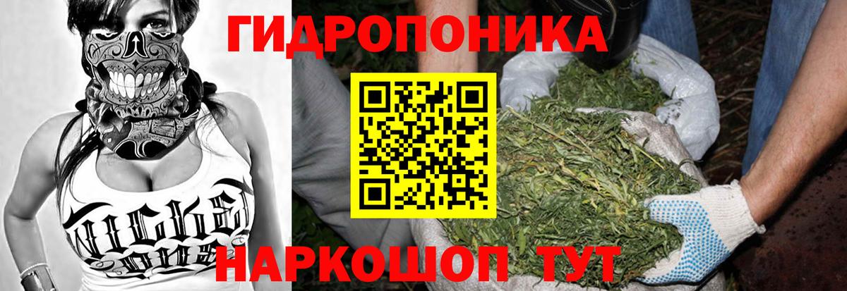 Конопля THC 21%  Вход с VPN  Бошки марихуана THC 21%  Орехово-Зуево  МАРИХУАНА AK-47 